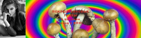 мефедрон Киреевск